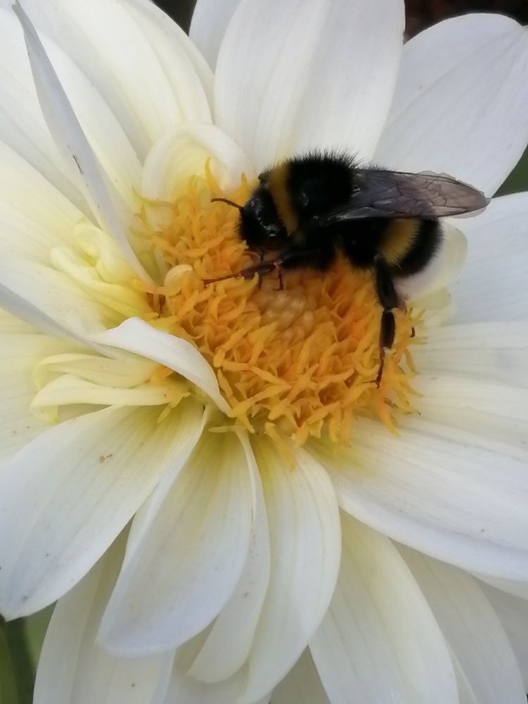 Фотография автора Кузьмичева Екатерина Васильевна