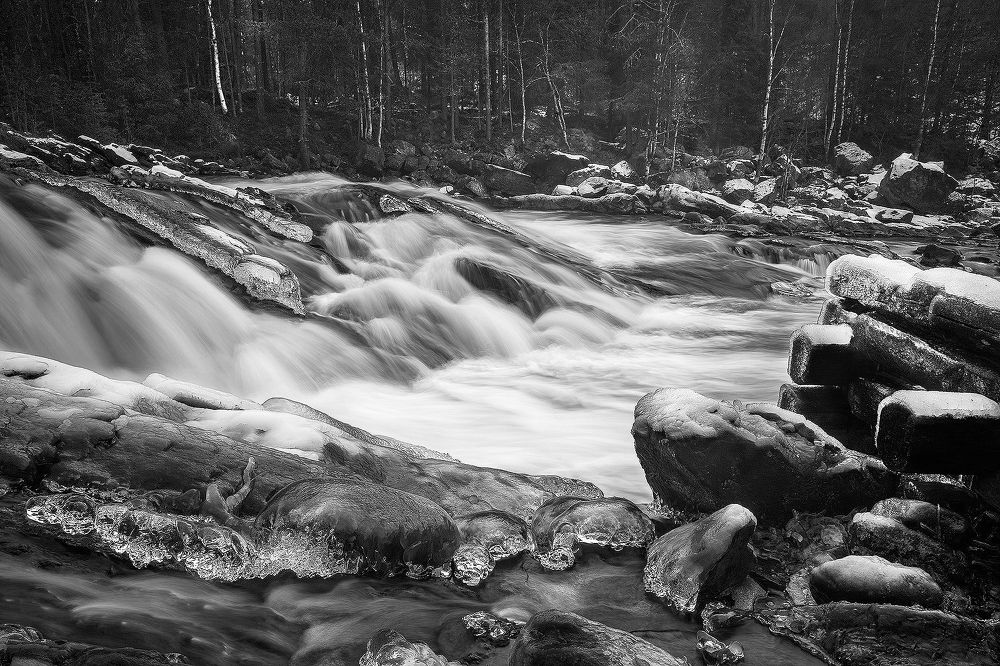 Photograph by Ольга Ченцова