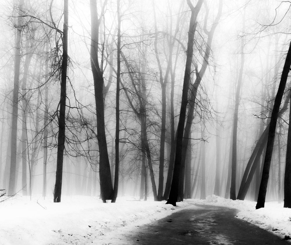 Фотография автора Александр Андреянов