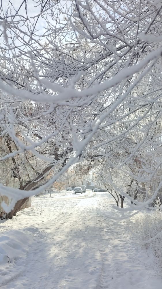 Фотография автора Анна Морозова