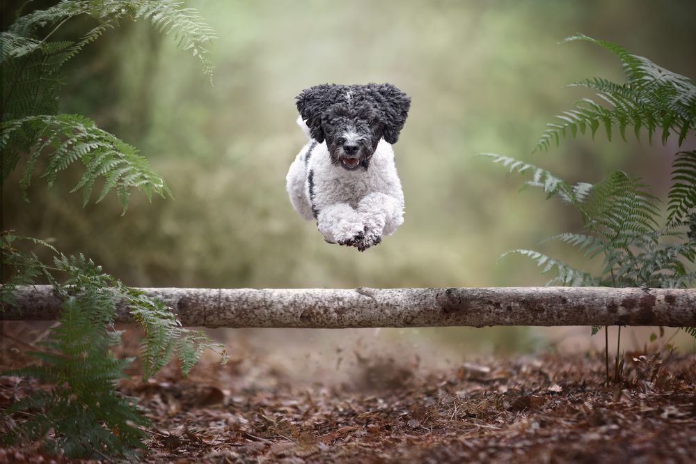 Photograph by Leticia Hernandez