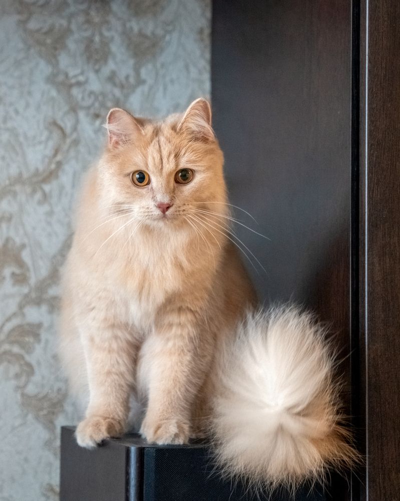 Photograph by Сергей Газизов