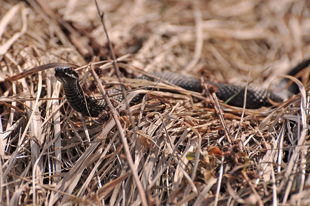 Photograph by Юрий Яковлев