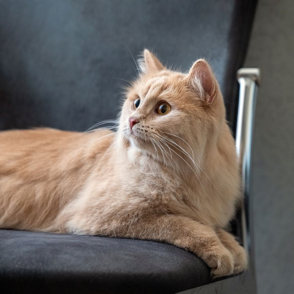 Photograph by Сергей Газизов