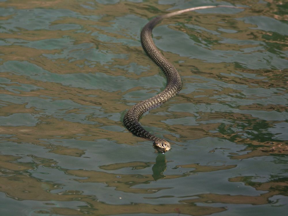 Photograph by Юрий Яковлев