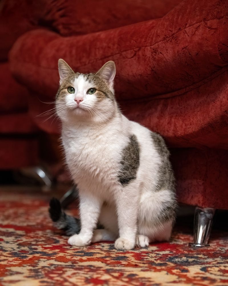 Photograph by Сергей Газизов