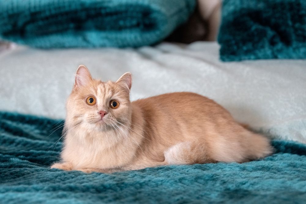 Photograph by Сергей Газизов