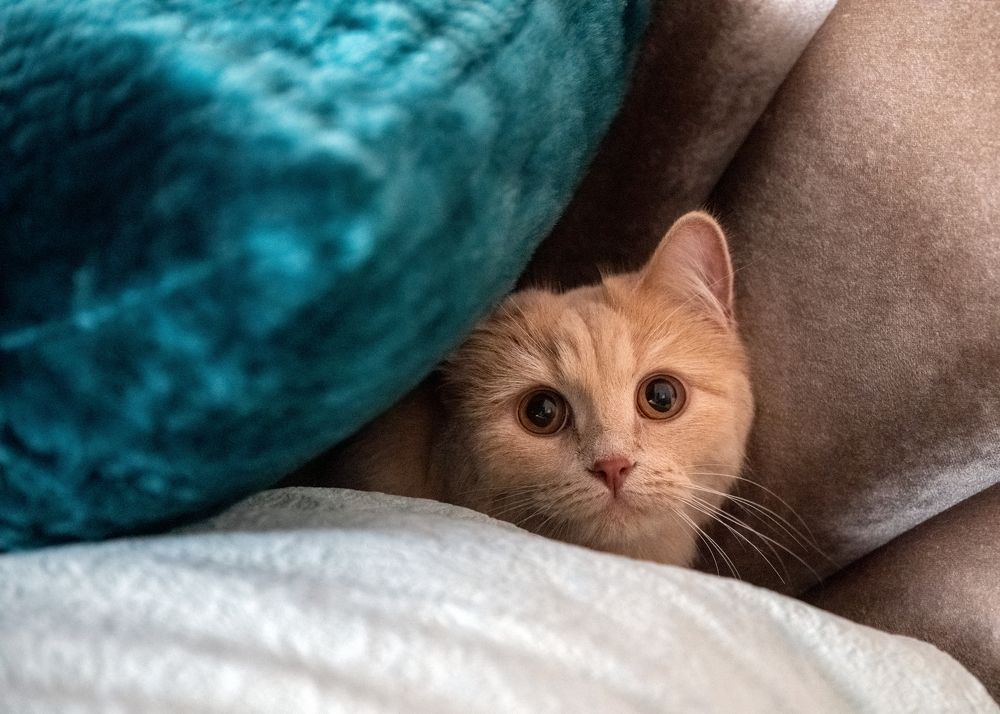 Photograph by Сергей Газизов