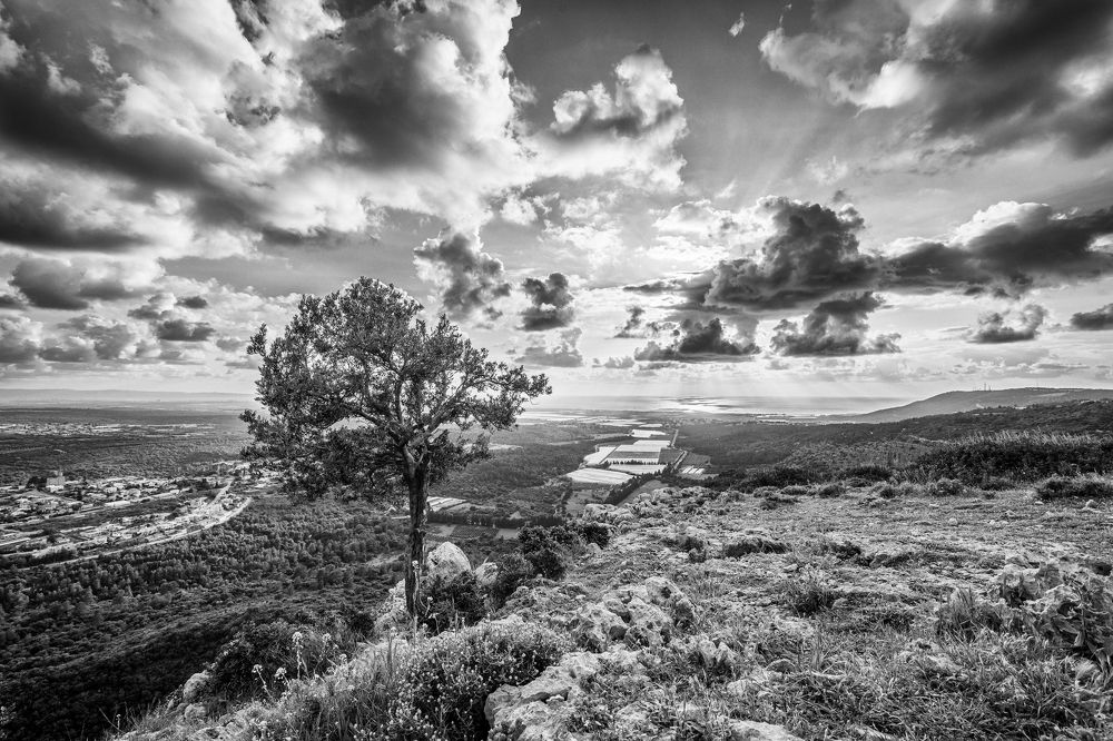 Фотография автора Dmitry Shterenberg