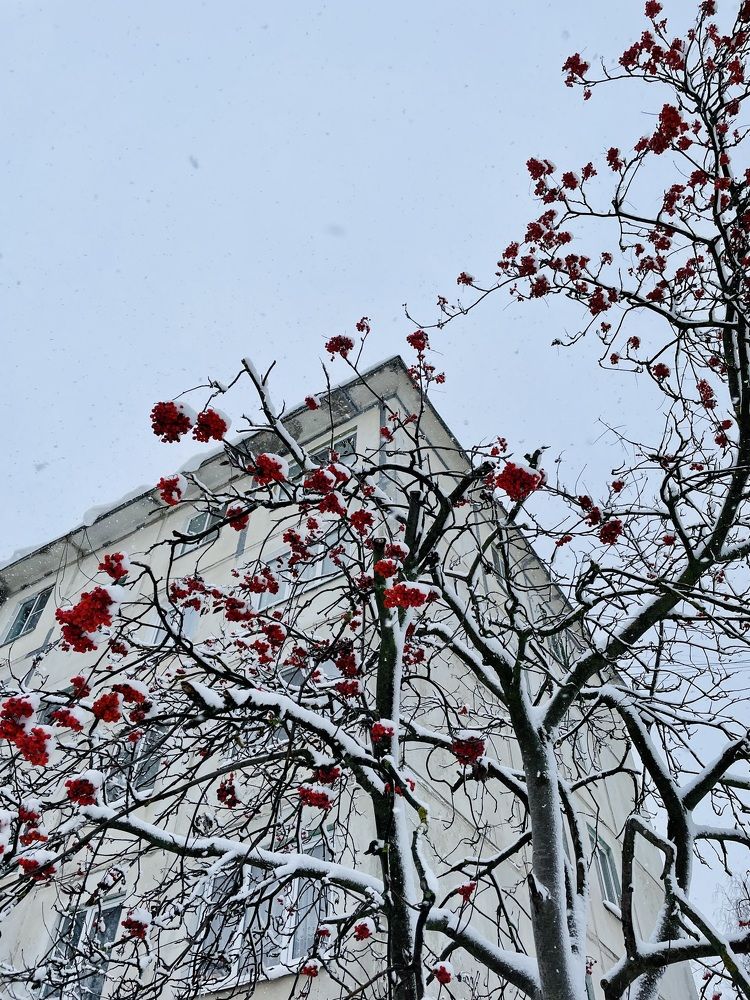 Photograph by Екатерина Кузнецова