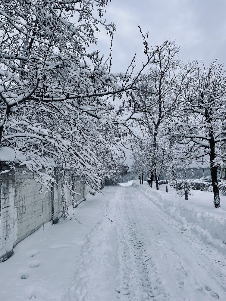 Photograph by Екатерина Кузнецова