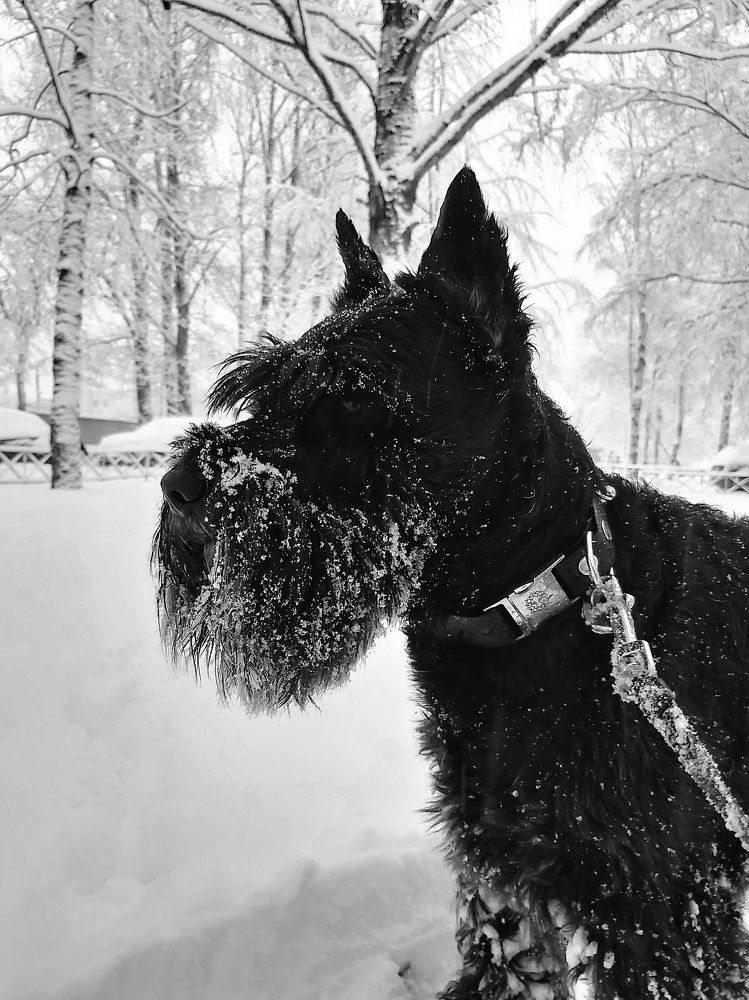 Фотография автора Алёна Михайлова