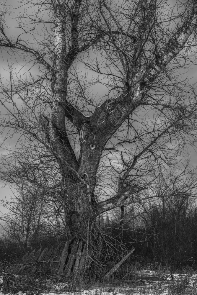 Photograph by Ольга Моисеева