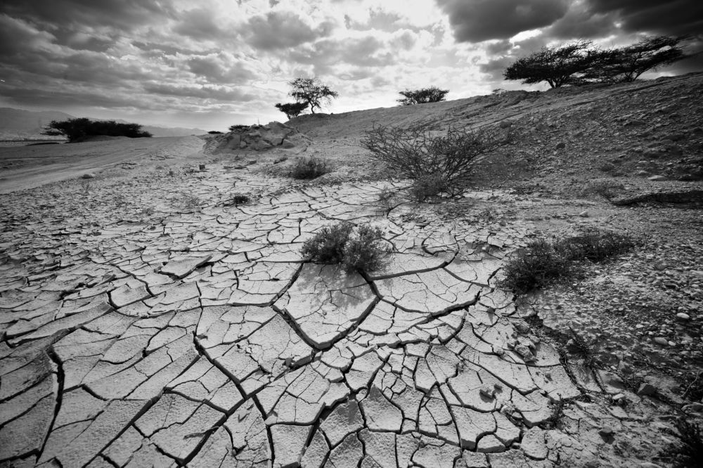 Фотография автора Dmitry Shterenberg