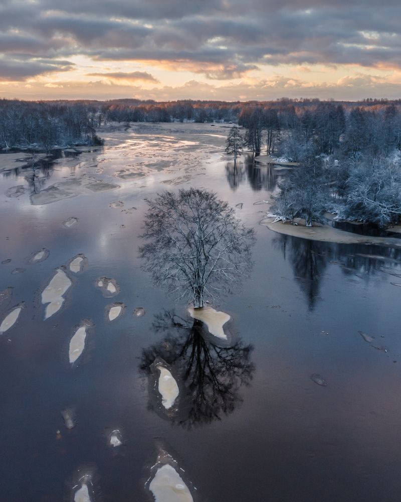 Winter floods in Soomaa bog area, Estonia