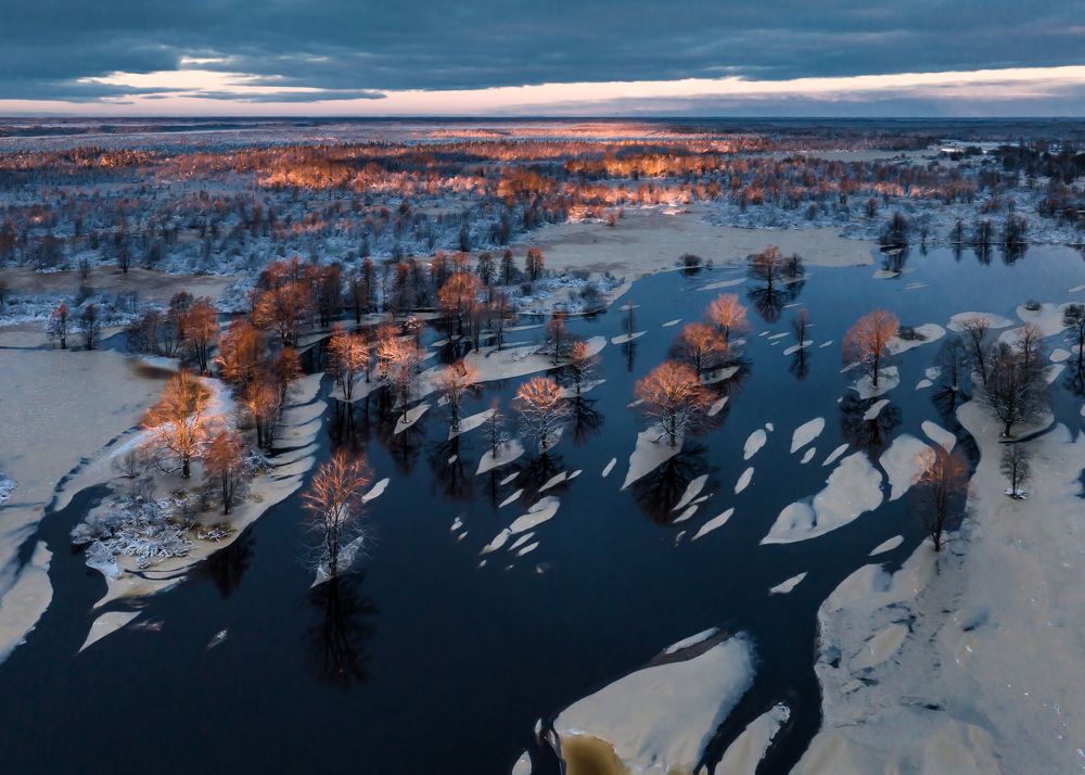 Winter floods in Soomaa bog area, Estonia