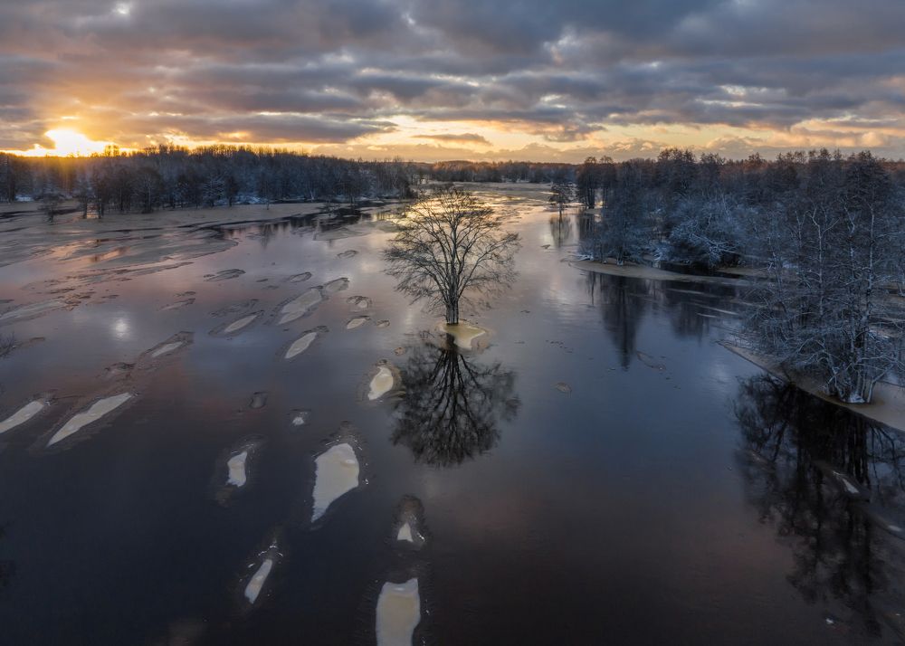Winter floods in Soomaa bog area, Estonia
