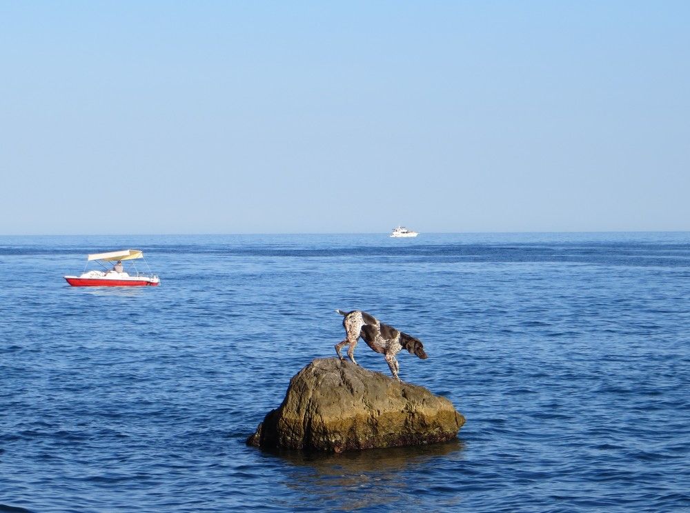 Photograph by Татьяна Поминова