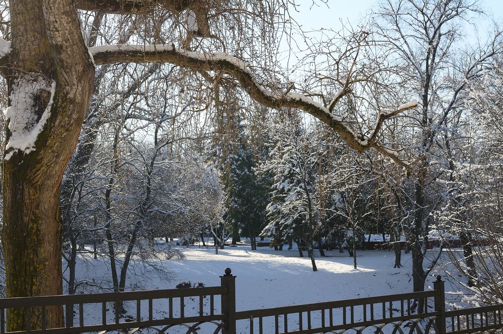 Photograph by Дмитрий Жуков