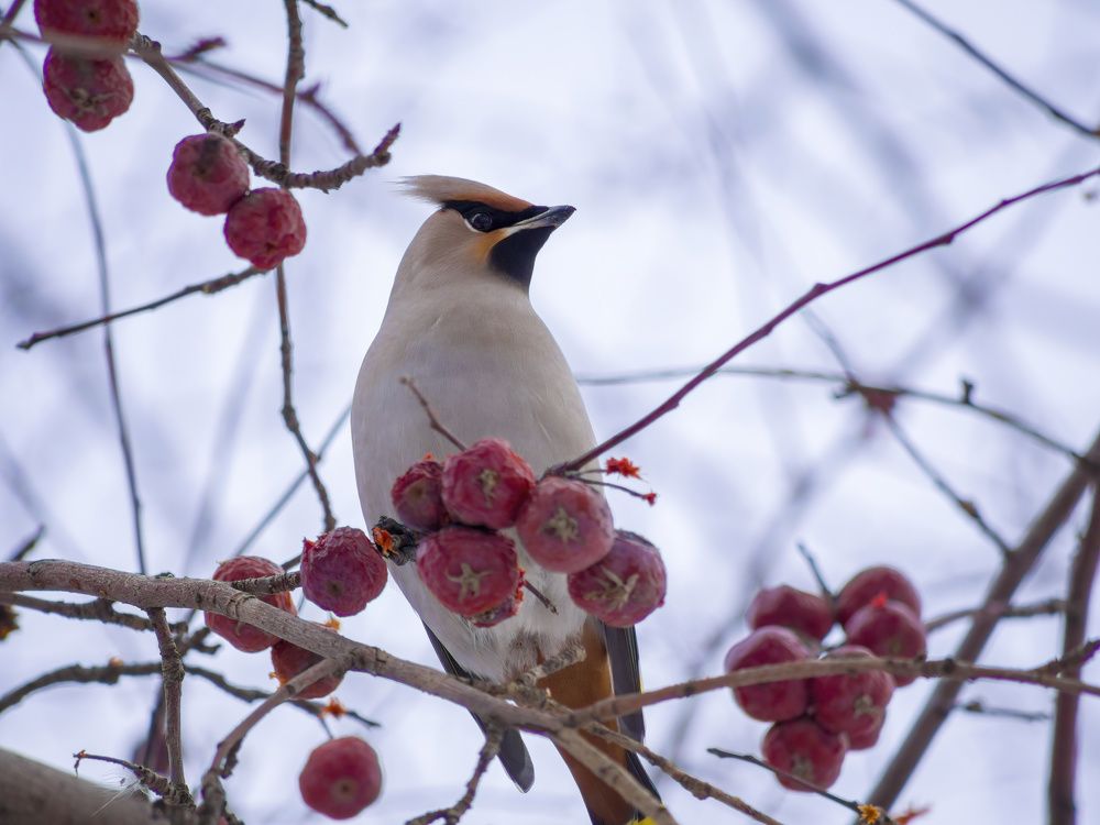 Photograph by Валерий Лунев