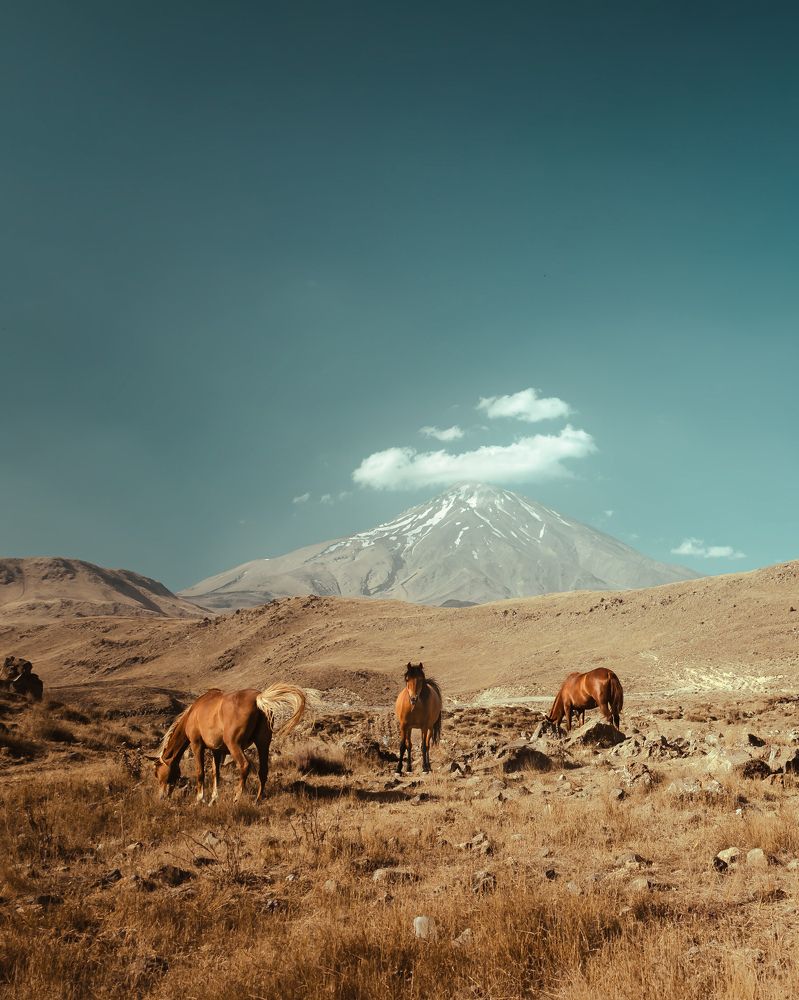 Majestic solitude at the foothills of Damavand