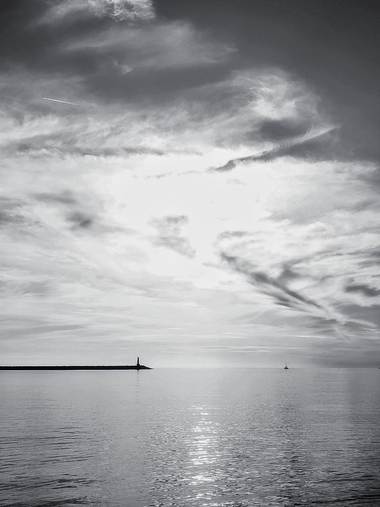 Фотография автора JELENA VASIC