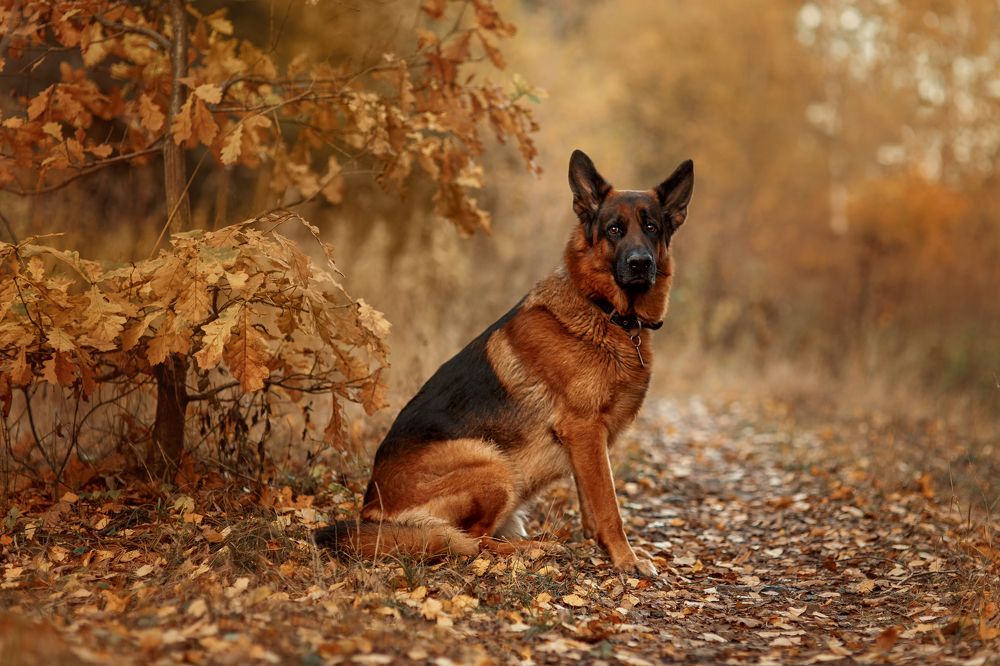 Фотография автора Онучина Юлия