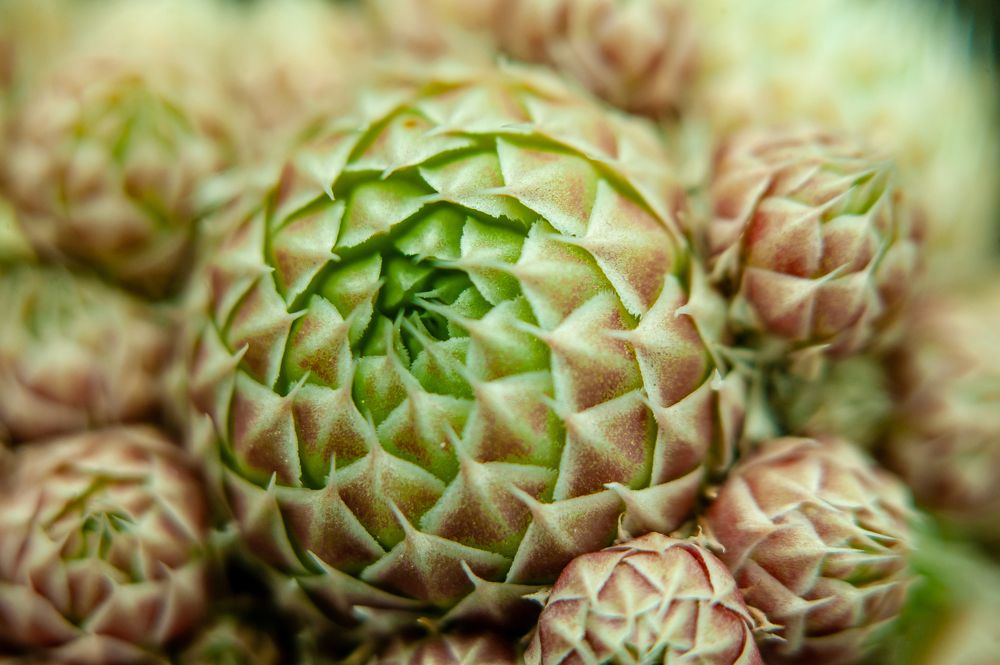 Photograph by Семенов Александр