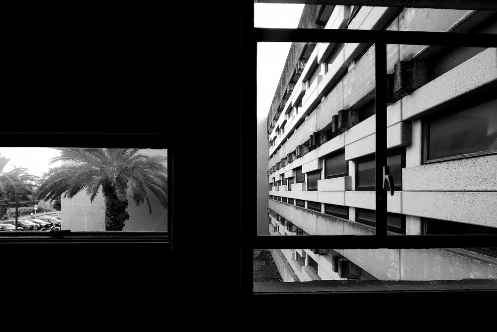 Фотография автора Giuliano Vollaro