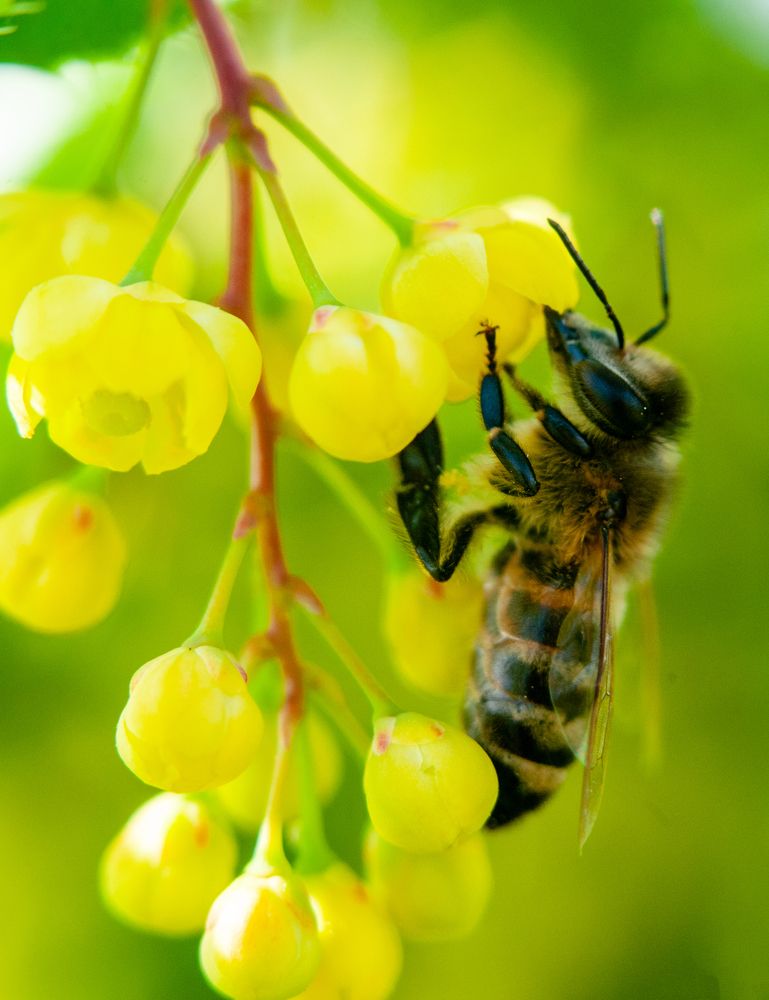Photograph by Семенов Александр