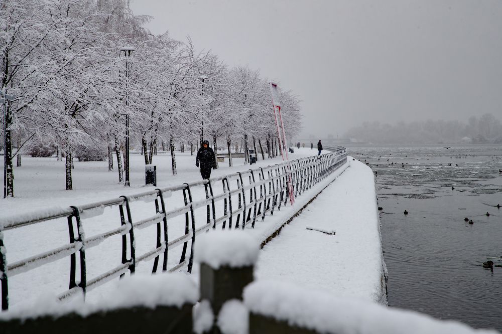 Photograph by Владимир Говоров