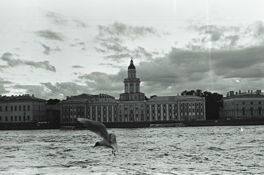 Photograph by Ольга Шевцова