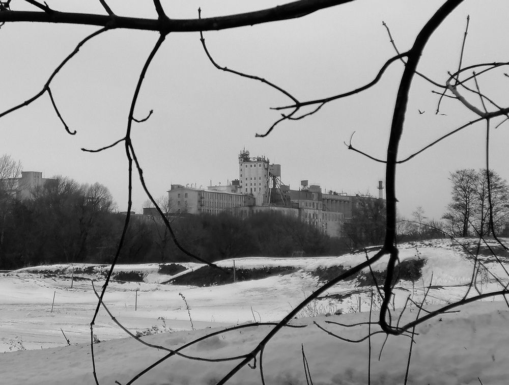 Photograph by Кристина Рыбина