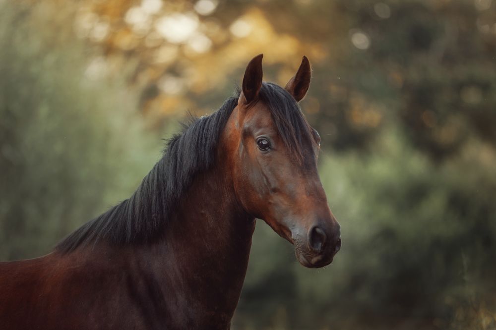 Фотография автора Онучина Юлия
