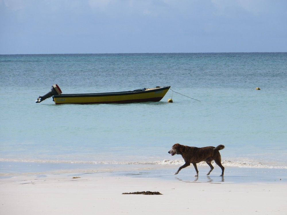 Photograph by Татьяна Поминова