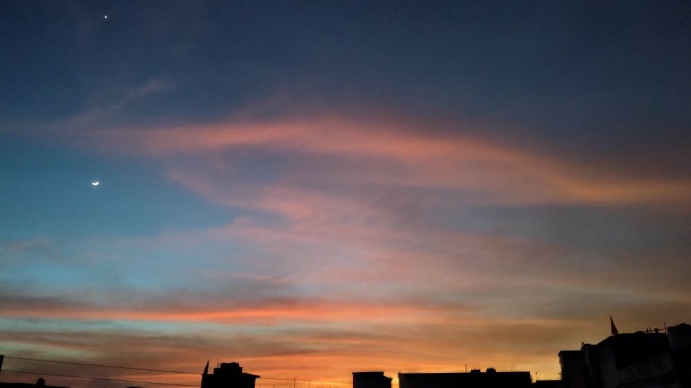 Photo #11626448