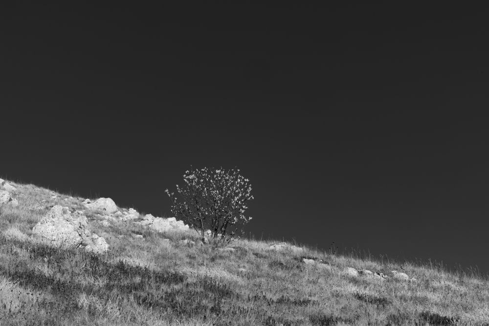 Photograph by Andrej Nihil