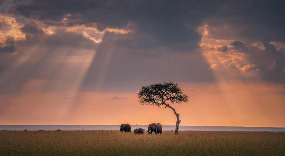 Photograph by Александр Кукринов