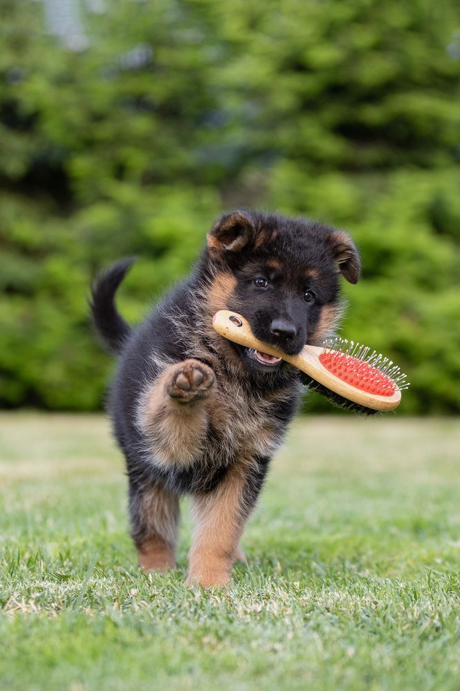 Photograph by Nadezhda