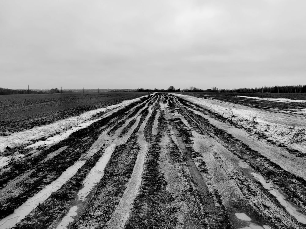 Photograph by Михаил Янкин