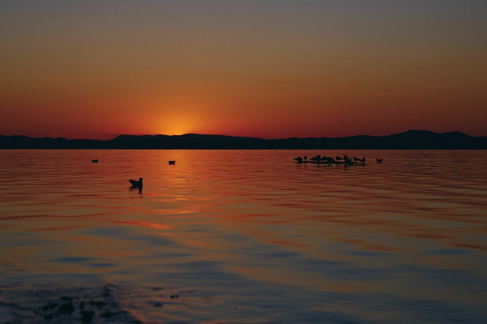 Photograph by Ольга Андреева