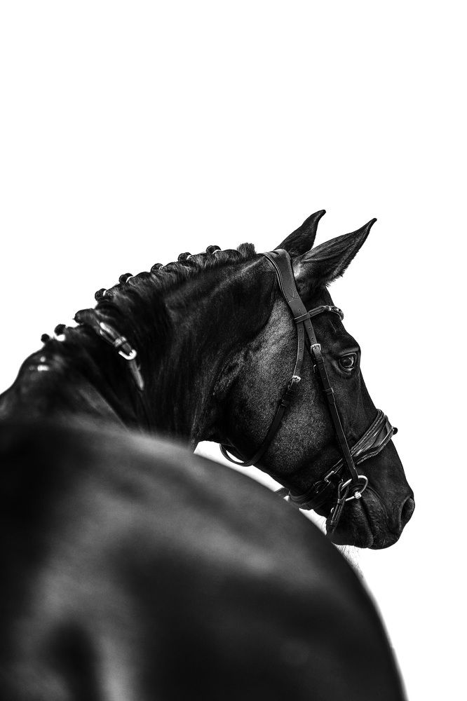 Photograph by Kristina Joanna Eruslanova