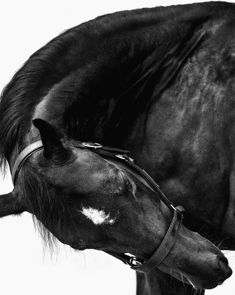 Photograph by Kristina Joanna Eruslanova