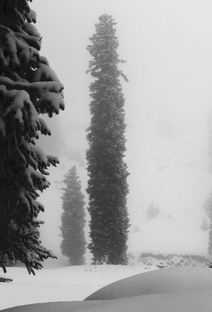 Photograph by Михаил Максимов