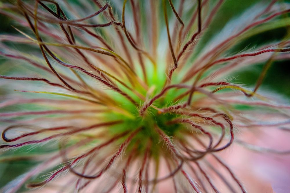 Photograph by Семенов Александр