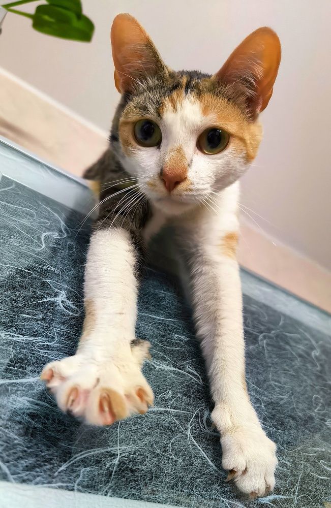 Photograph by PERESHEIN ANDREY