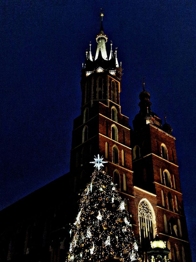 Фотография автора Maryna Pytliak