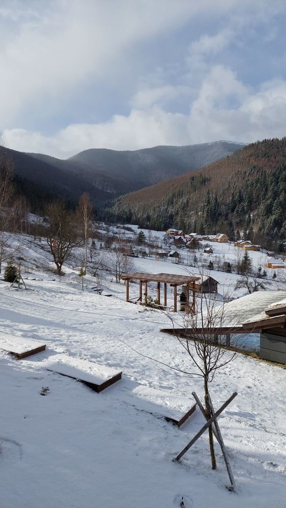 Photograph by Svitlana Usatenko