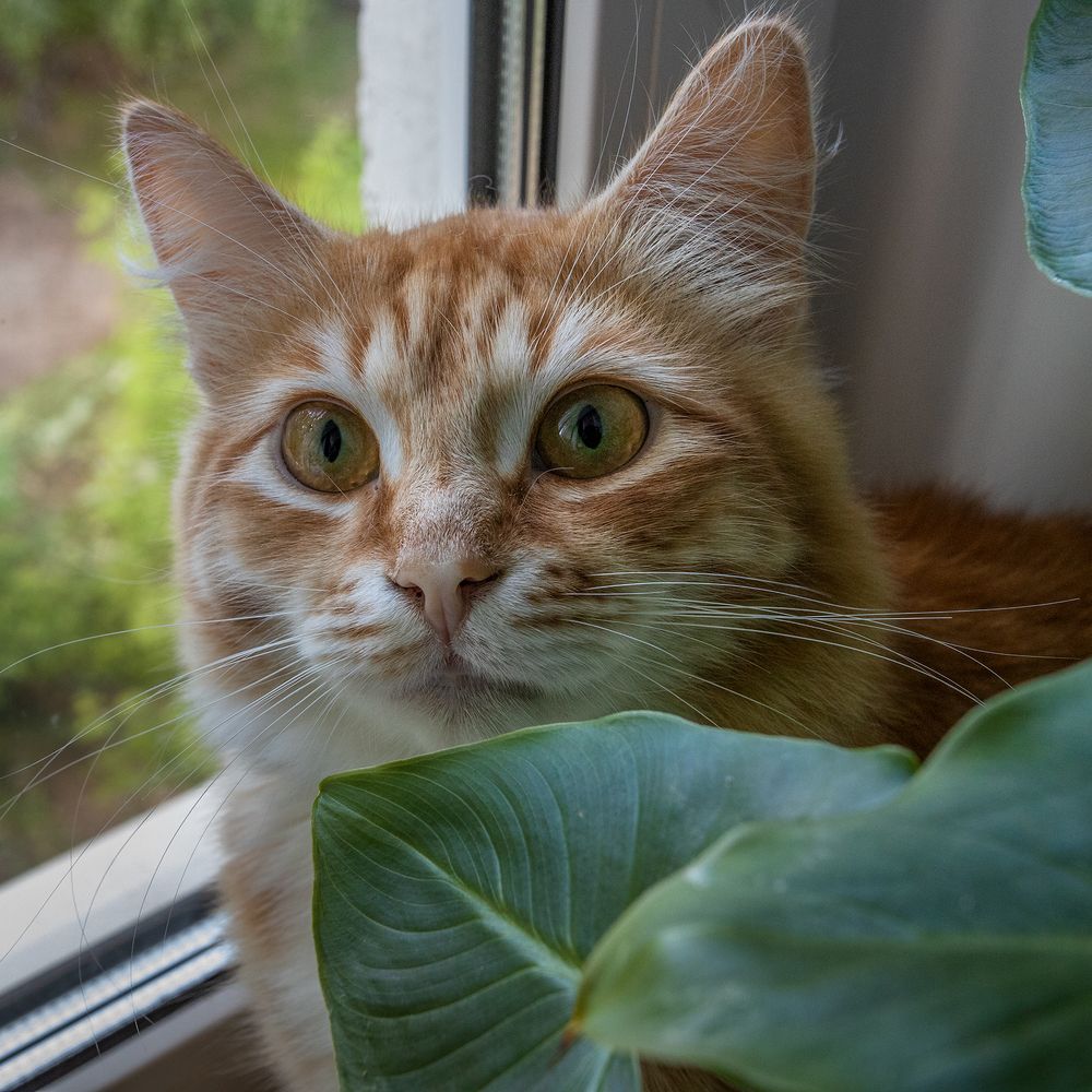 Photograph by Андреев Николай