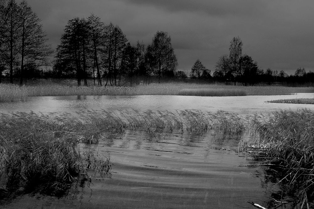 Photograph by Александр Завьялов